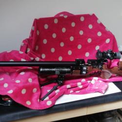 Carabine PCP fx 600 King cal 6.35. 19,9 joules