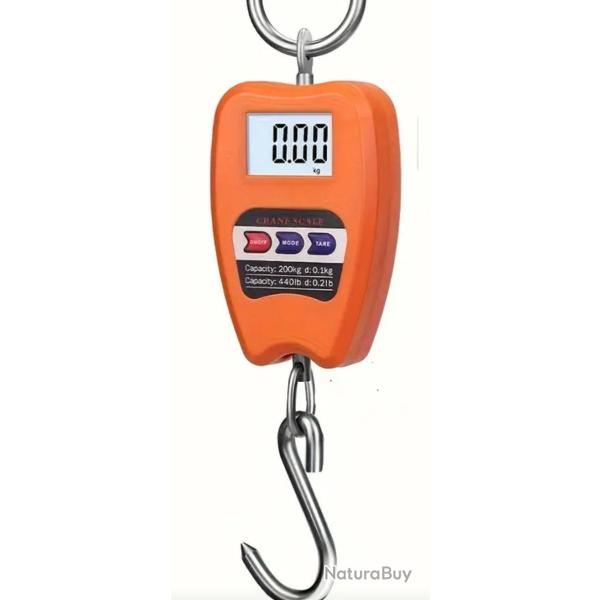 Peson 200kg �lectronique