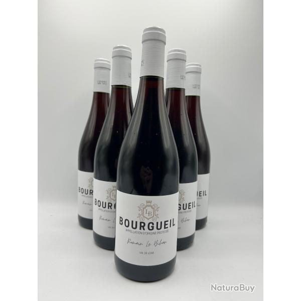 Vente flash ! 6 Bouteilles de vin rouge Romain Le Bihan Bourgueil - 2023