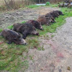 Chasse &agrave; la journee