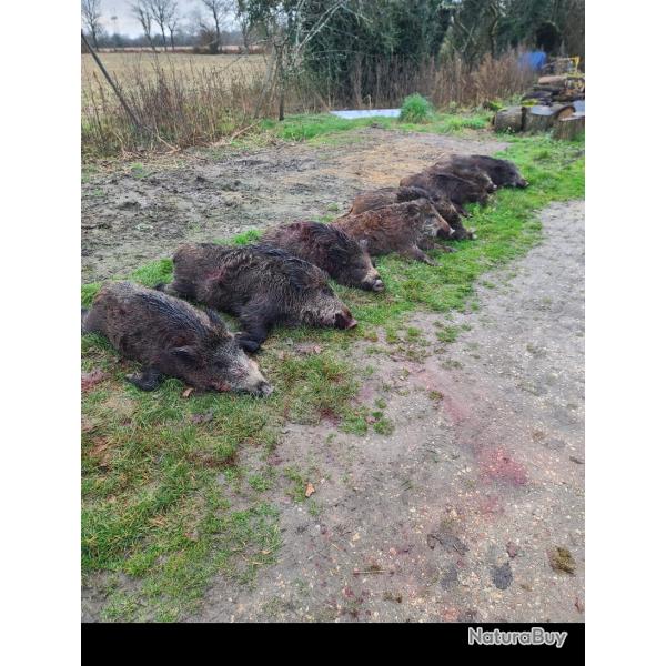 Chasse � la journee