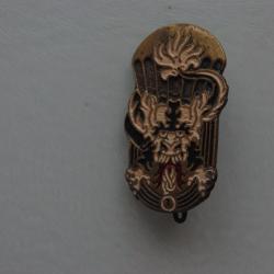 1&deg; BATAILLON  PARACHUTISTE  VIETNAMIENS  -------MOULAGE D.O.M -----