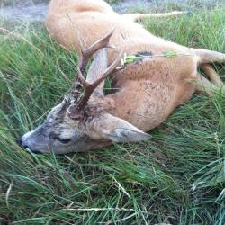 Recherche bracelets brocard saison 2026