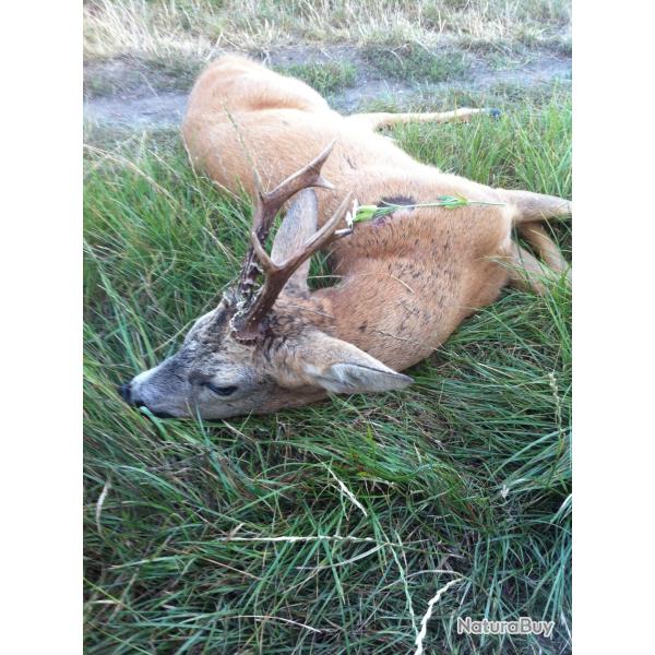 Recherche bracelets brocard saison 2026