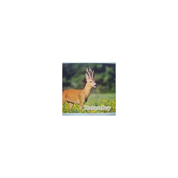 Chevreuil � l'approche