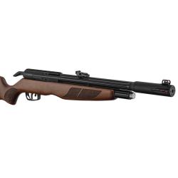 Carabine PCP Gamo RISER Punisher Cal. 5,5 mm 40 Joules Cat C