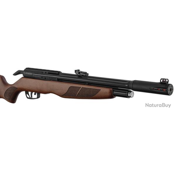 Carabine PCP Gamo RISER Punisher Cal. 5,5 mm 40 Joules Cat C