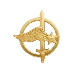 Insigne de b&eacute;ret Militaire Commando de l'air