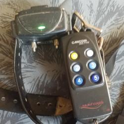 Collier de dressage Canicom 200 first