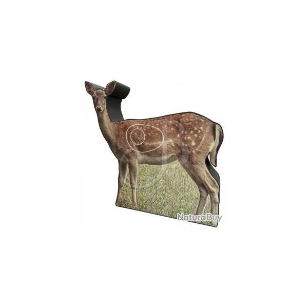 BOOSTER - Cible 2D Photo CHEVREUIL