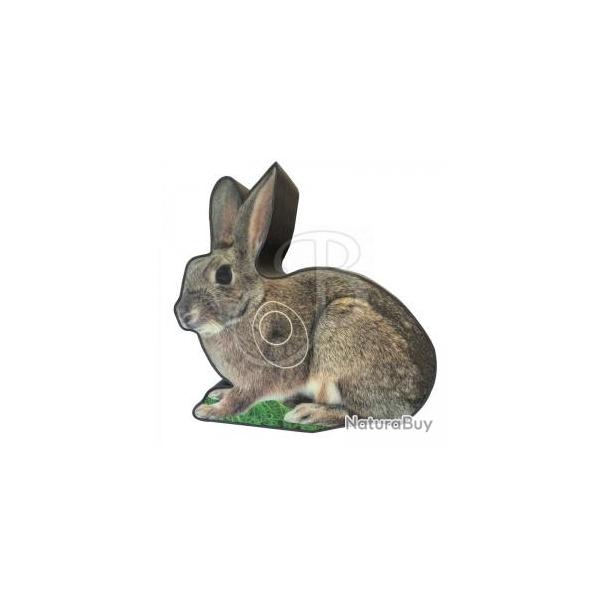 BOOSTER - Cible 2D Photo LIEVRE