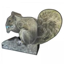 BOOSTER - Cible 2D Photo ECUREUIL