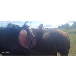 Selle de cheval 18 pouces