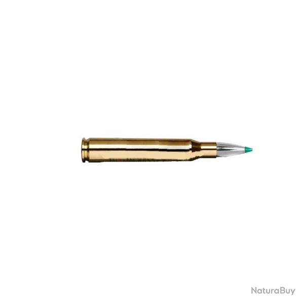 Balles Norma Ecostrike - Cal. 9.3x74 R - 250 gr / 16.2 g / Par 1