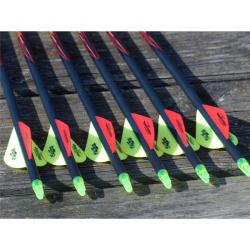 FLECHES BLACK EAGLE OUTLAW SPINE 350