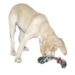 Jeu chien Corde nou&eacute;e 37 cm