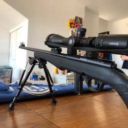 Carabine Rossi 8122 22 LR