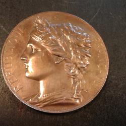 M&eacute;daille Expo.internationale1878