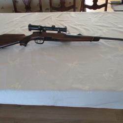 Vente carabine chasse