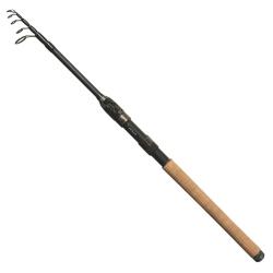 ARCA CANNE COMPASS T&Eacute;L&Eacute;SCOPIQUE SPIN 270 25GR ARCA