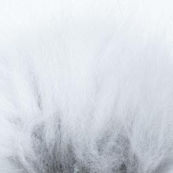 Renard arctique blanc