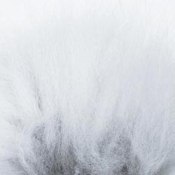Renard arctique blanc