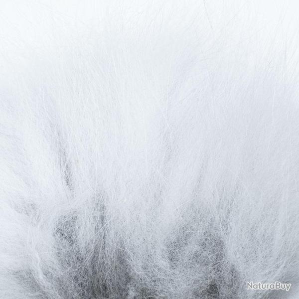 Renard arctique blanc