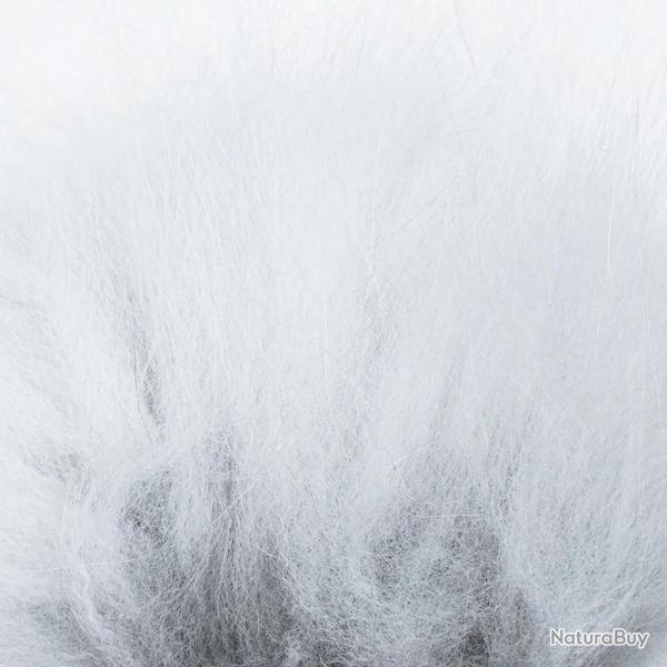 Renard arctique blanc