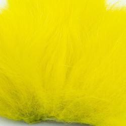 Renard arctique jaune