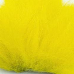 Renard arctique jaune
