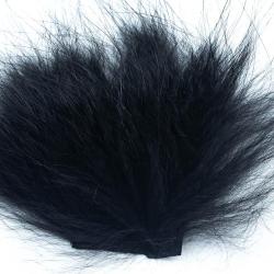 Renard arctique noir