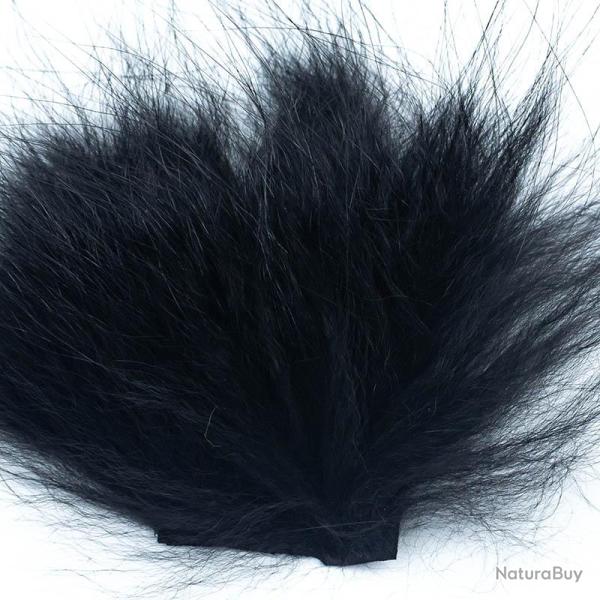 Renard arctique noir