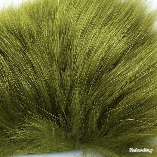 Renard arctique olive