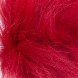 Renard arctique rouge