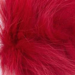 Renard arctique rouge
