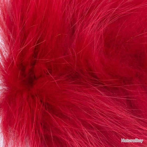 Renard arctique rouge