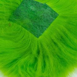 Renard arctique vert