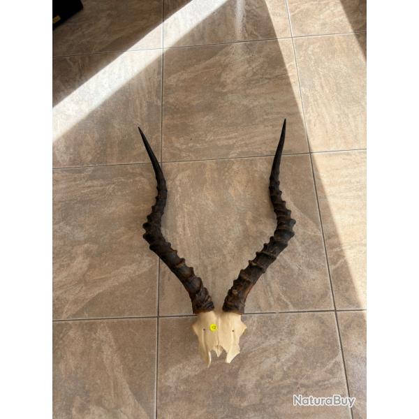 Divers Massacres Africains