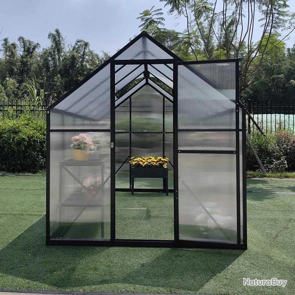 Serre de Jardin en Aluminium avec Polycarbonate 119x177x192cm - Transparente et Verte