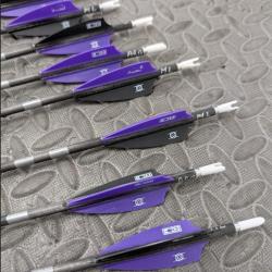 Lot 8 fl&egrave;ches Easton avance sport spin 1000 occasion