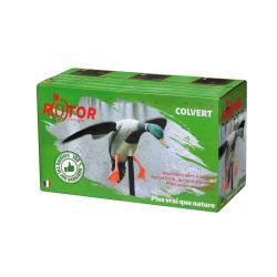 Rotor Colvert Stepland