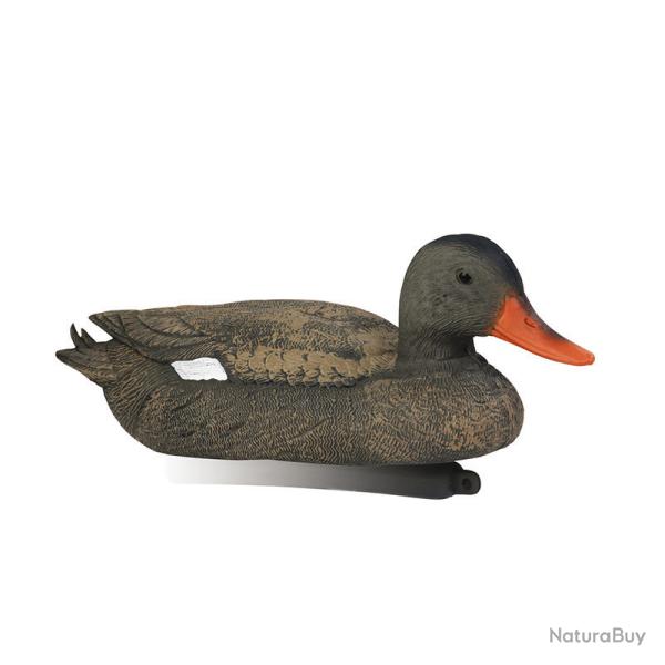 1 Chipeau m�le & 1 Chipeau femelle