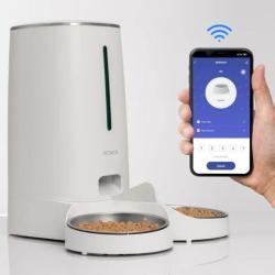 Distributeur Automatique de Nourriture 4L Chat Chien - Animaux de Compagnie LIVRAISON GRATUITE