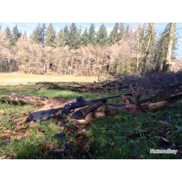 Action de chasse entre Castres et Mazamet en toute convivialit�