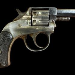 harrington young american 22 short