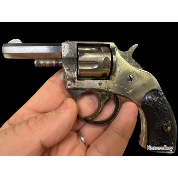 harrington young american 22 short