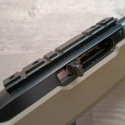 ruger 10/22 cat&eacute;gorie C magpul