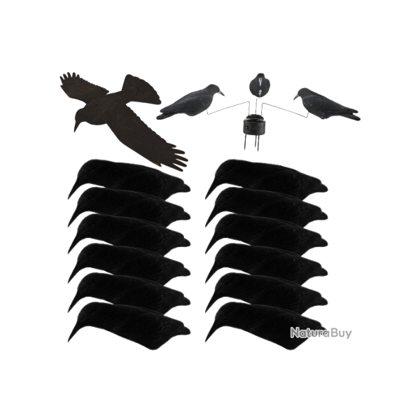 Pack DECOUVERTE 12 appelants corbeaux coquilles floqu�es, EVA et man�ge � corbeaux