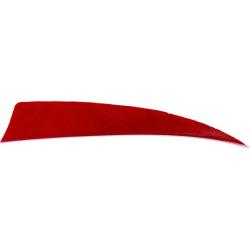 AVALON - Plumes Naturelles Shield 3" RH (x50) ROUGE
