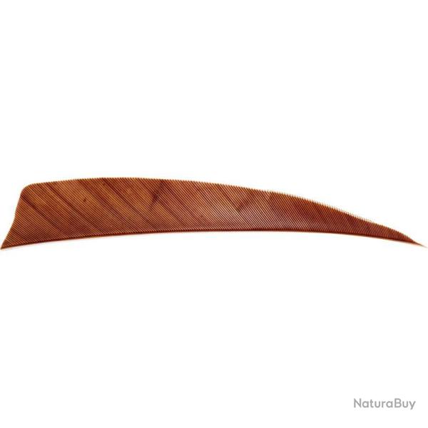 AVALON - Plumes Naturelles Shield 3" RH (x50) MARRON